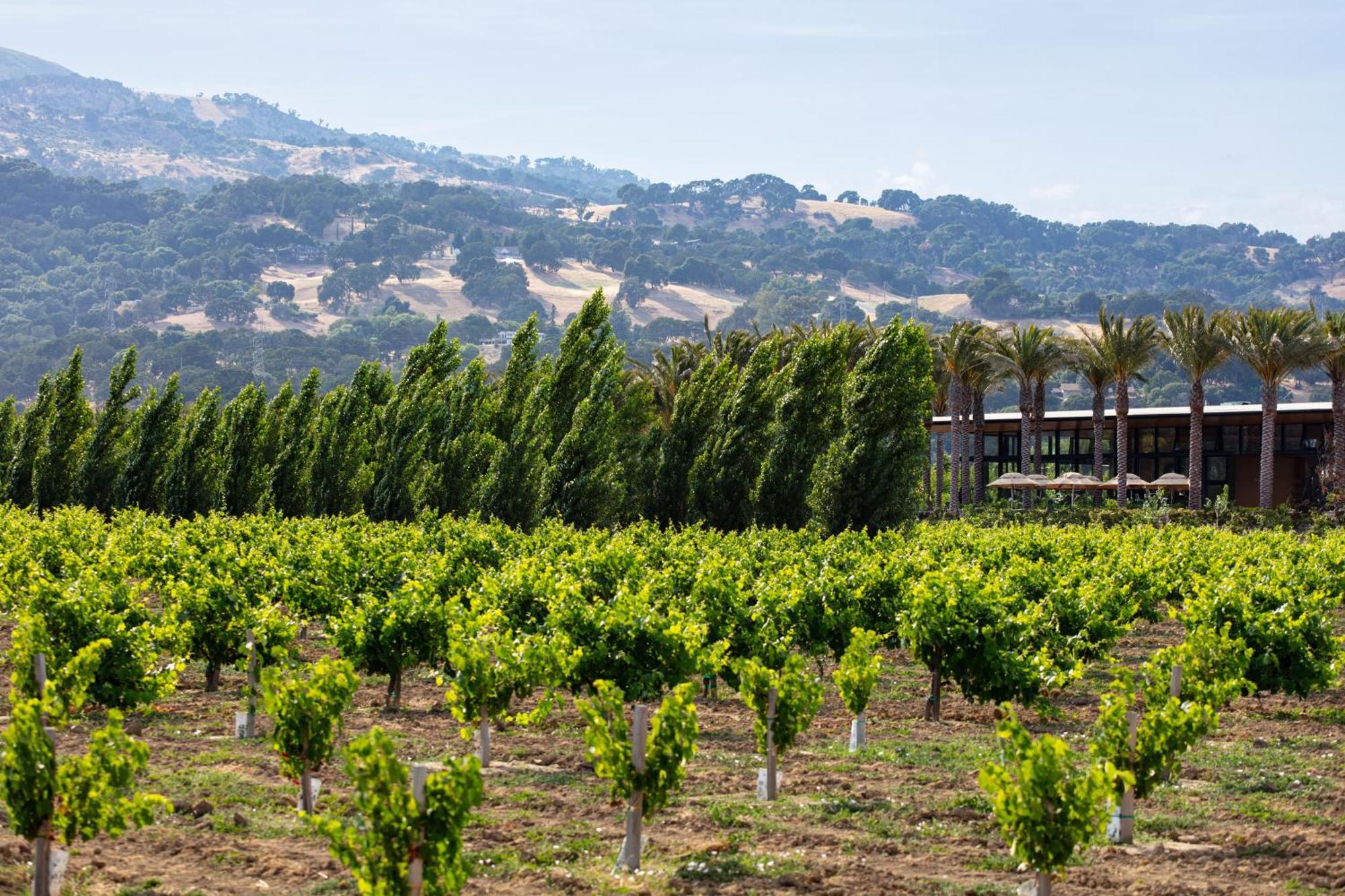 Homewood Suites By Hilton Fairfield-Napa Valley Area Cordelia Zewnętrze zdjęcie